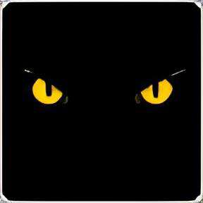 黑夜下载1.0.7会员版，多线程加速，下